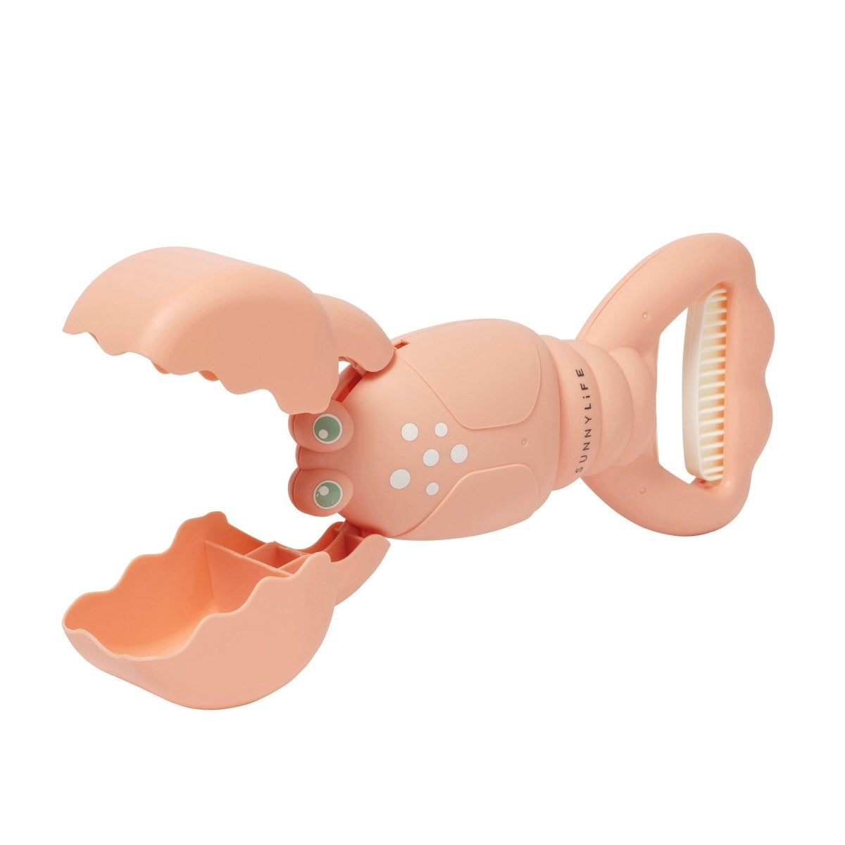 SAND CLAWS - LOBSTER CORAL