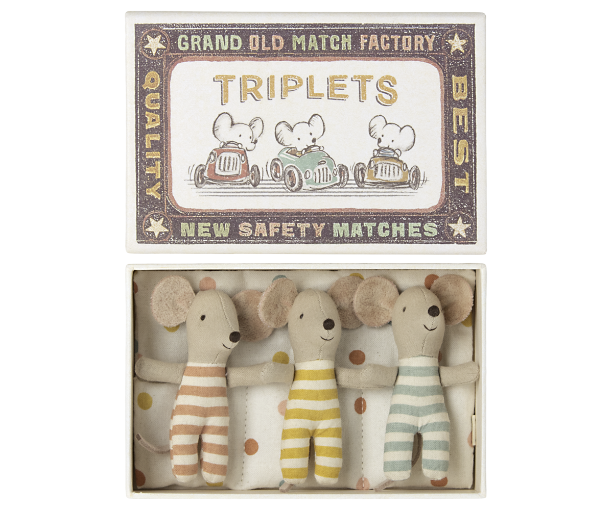 Triplets, Baby Mice in Matchbox - Dots