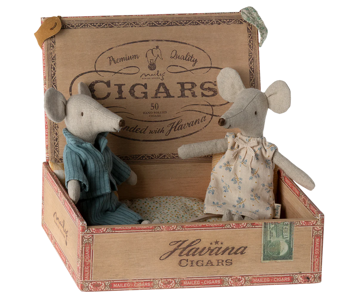 MUM AND DAD MICE IN CIGARBOX