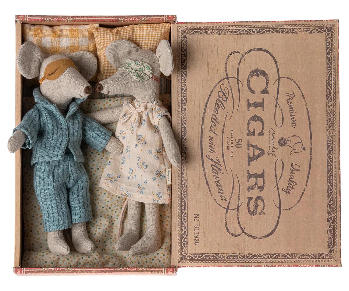 MUM AND DAD MICE IN CIGAR BOX ko