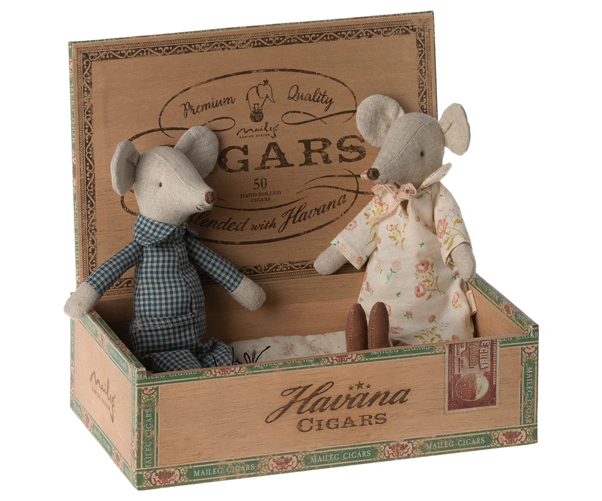 Grandma and Grandpa mice in cigarbox