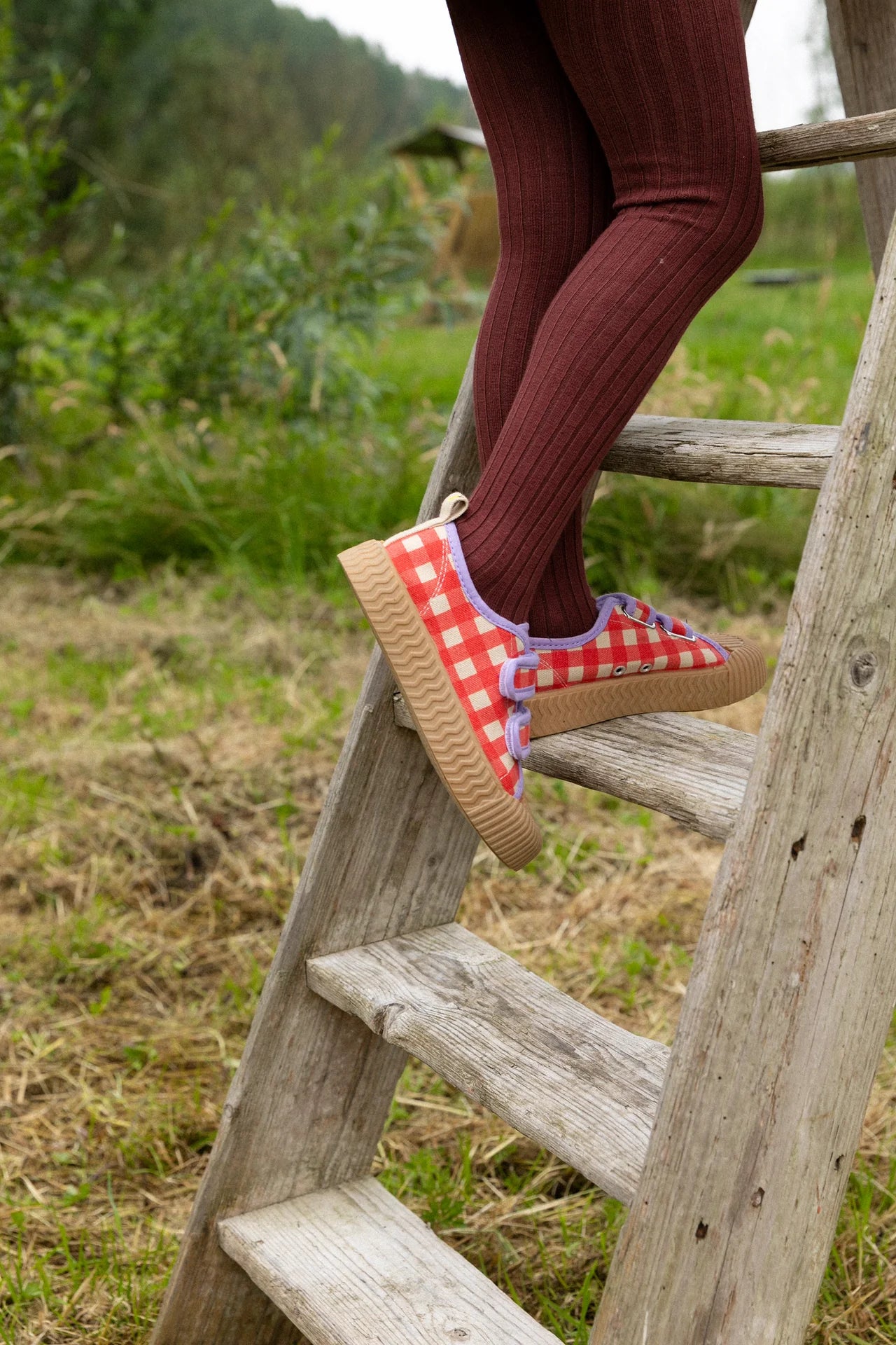 CANVAS SHOES GINGHAM POPPY