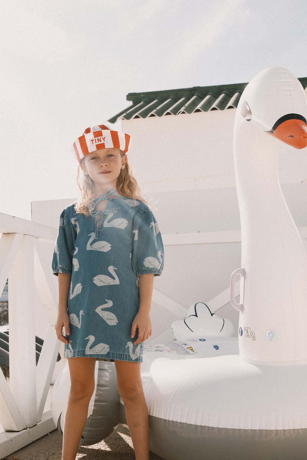 BIG SWANS DRESS
