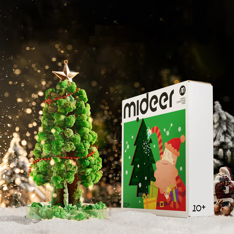 MAGIŠKAS KALĖDŲ MEDIS- KRISTALŲ AUGINIMO RINKINYS