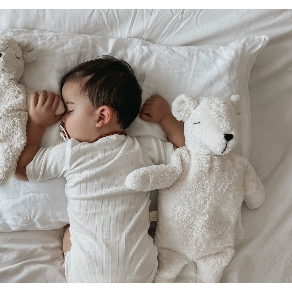CUDDLY BEAR POLAR LARGE