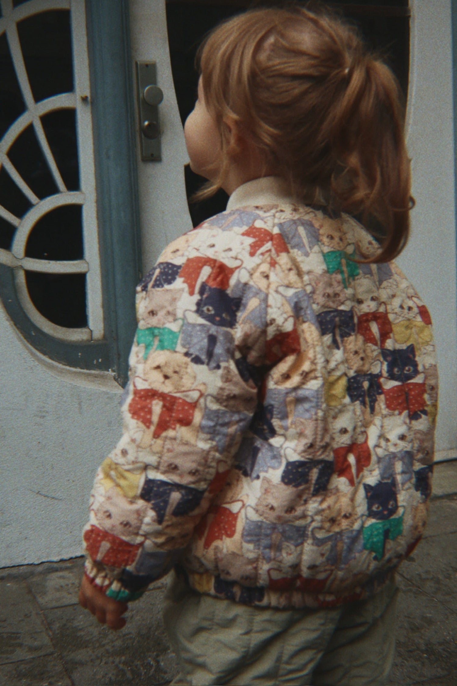 JUNO PRINTED BOMBER JACKET - LIKE CATS AND DOGS