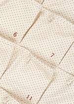 NOEL CHRISTMAS CALENDAR - SEEDPEARL