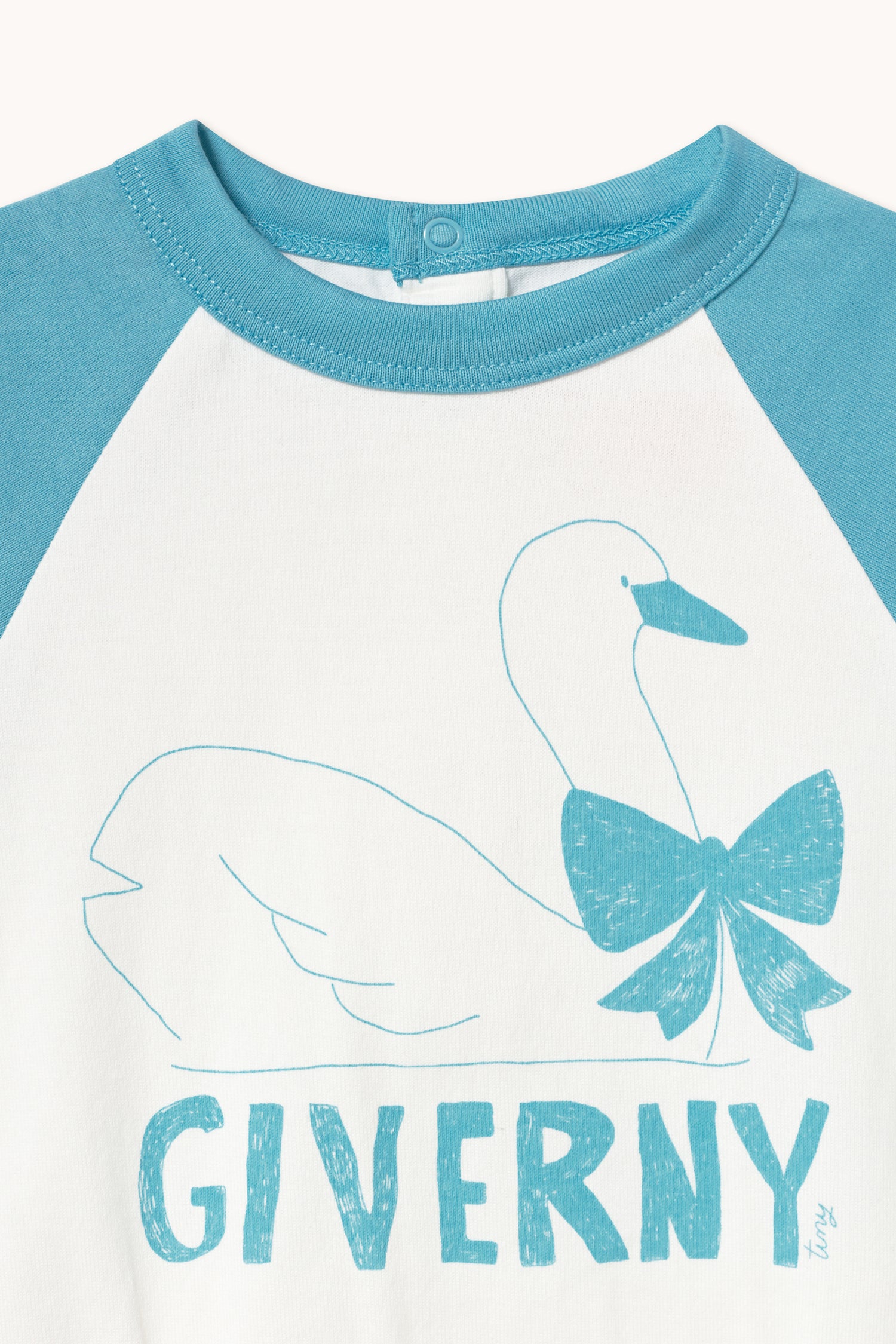 BODIS - SWAN